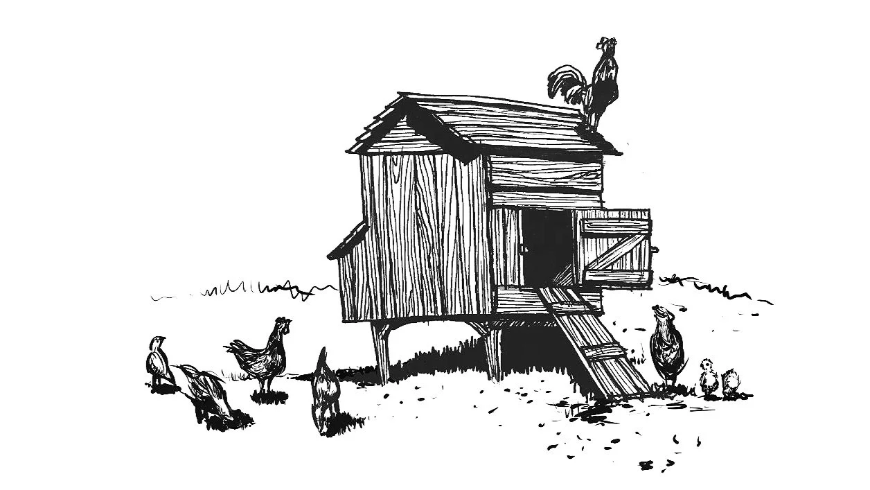 Resized_chicken_house_.jpg
