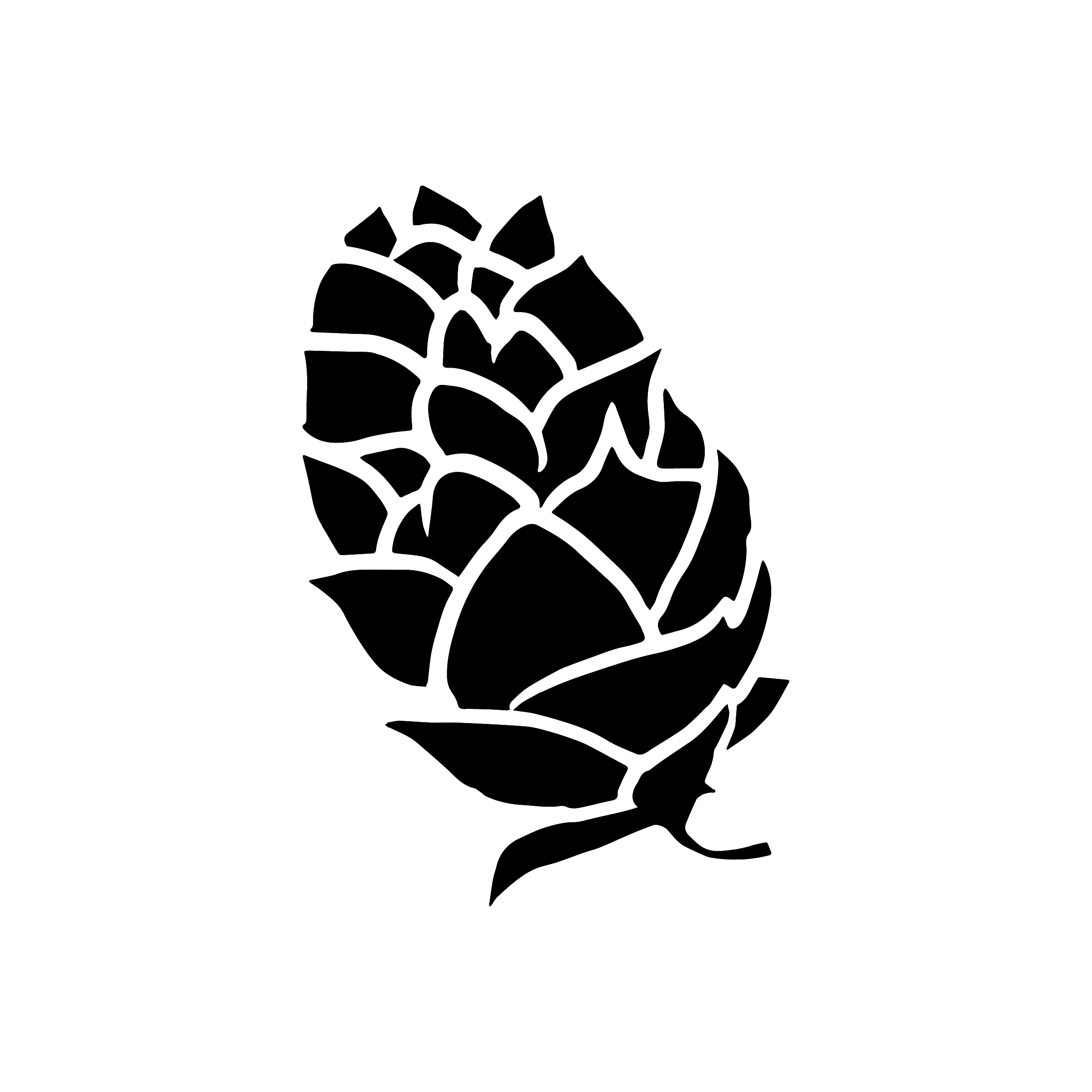 Newgrass-Hop-solid-logo.jpg