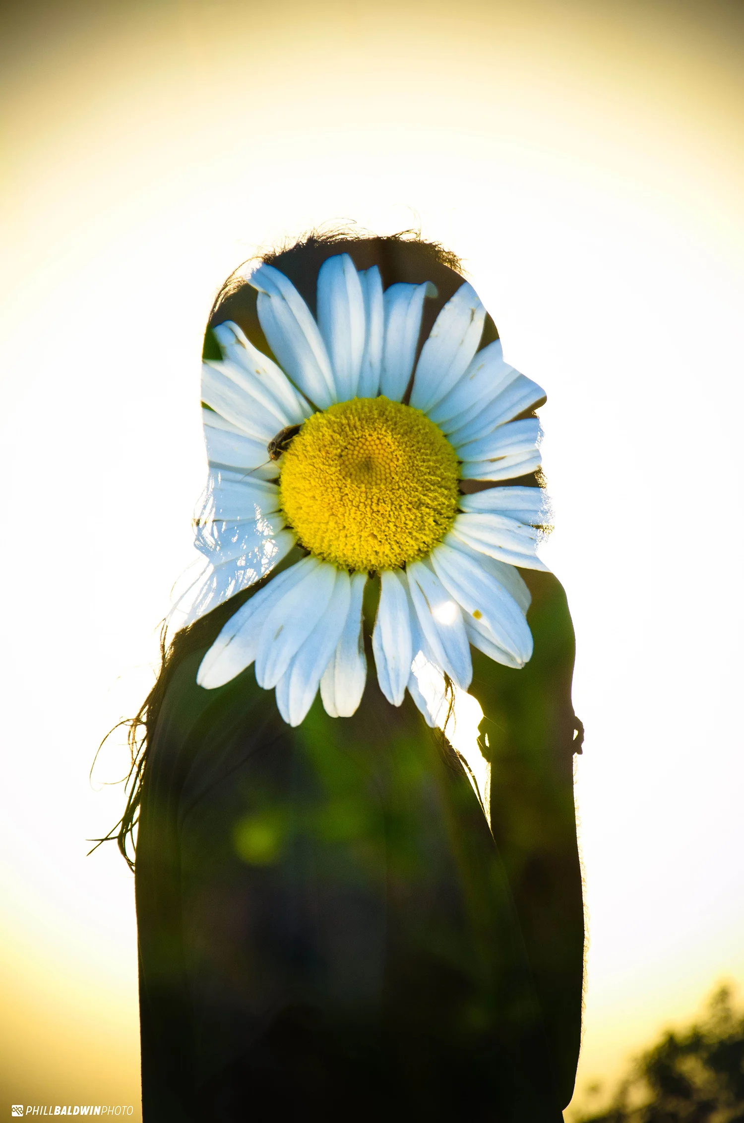 Jack Traynor Flower Double Exposure.jpg