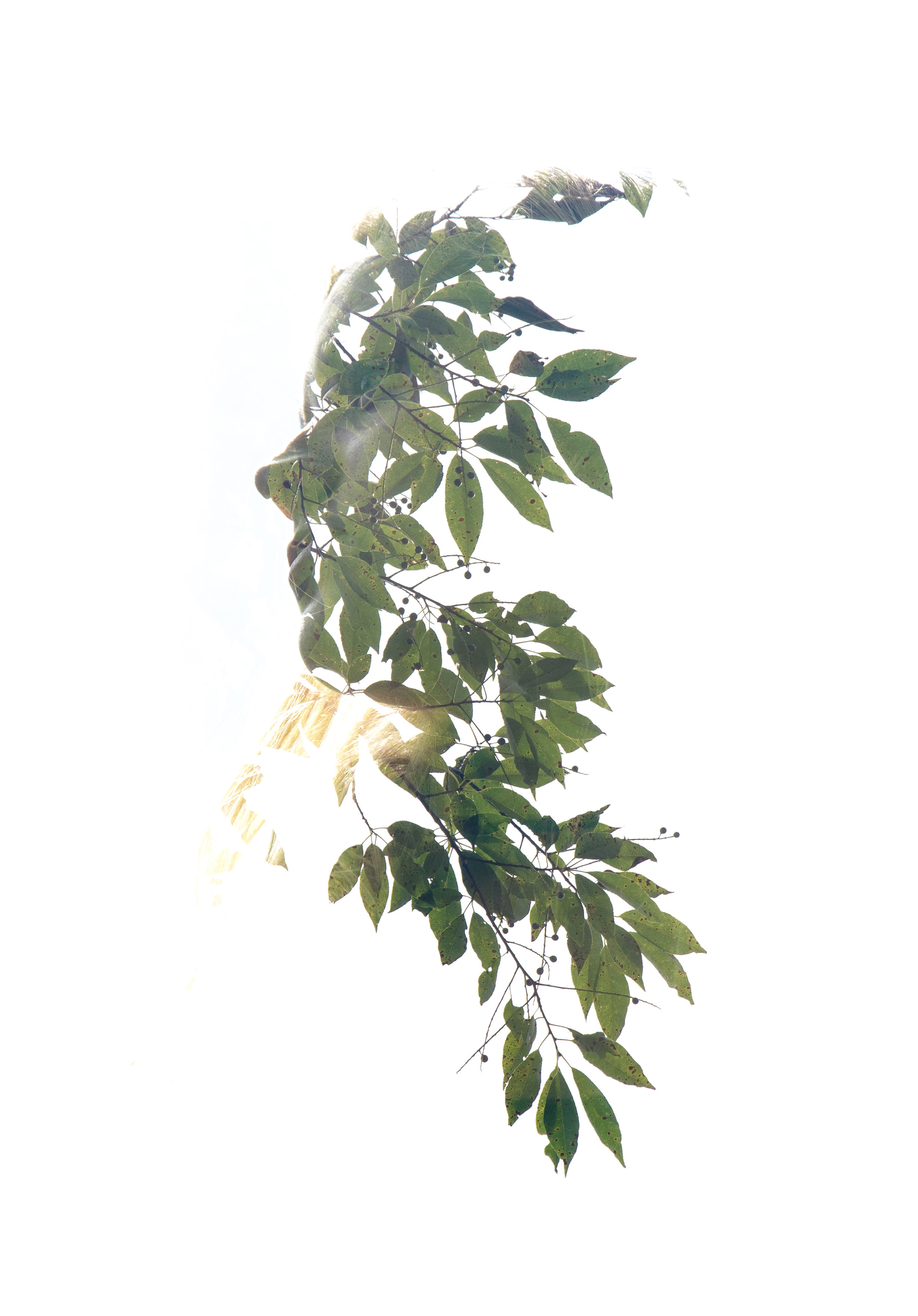 PAB_6849.jpg