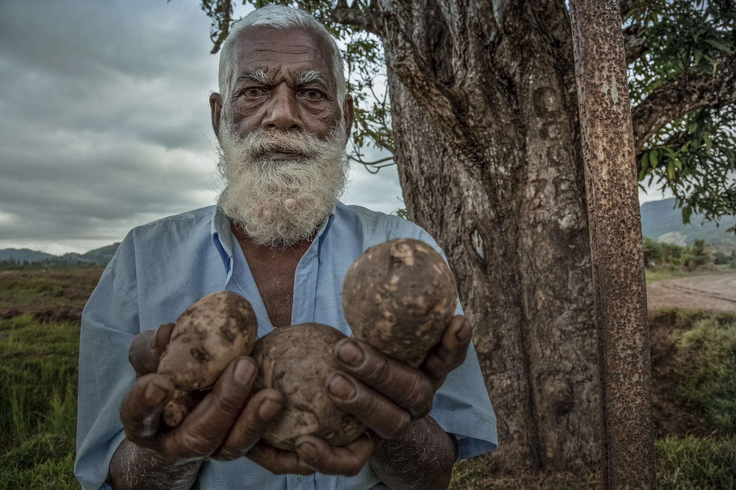 _MG_3840_FIJI_CANE_09-Edit.jpg