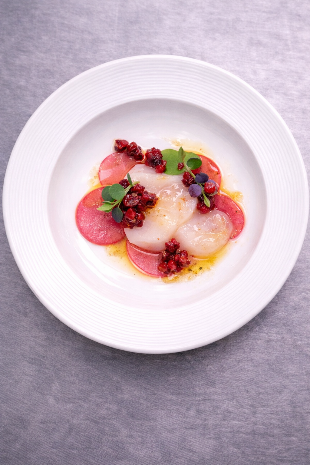 ChatGPT Image Jan 22, 2026, 07_57_31 PM.png (Copy)