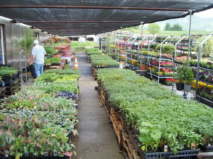 Produce and Greenhouse — B&B Produce