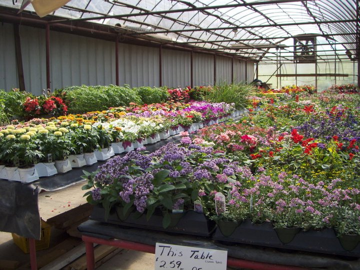 Produce and Greenhouse — B&B Produce