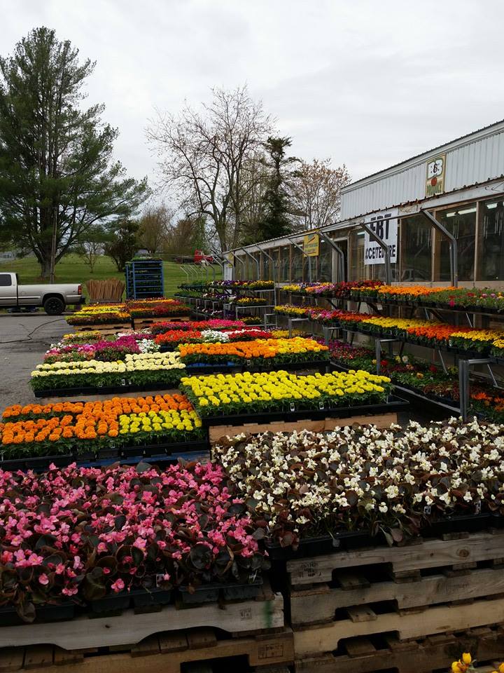 Produce and Greenhouse — B&B Produce