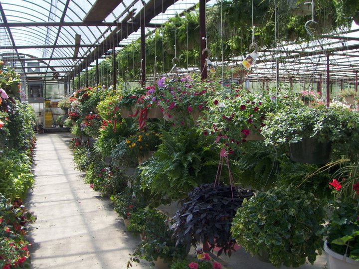 Produce and Greenhouse — B&B Produce