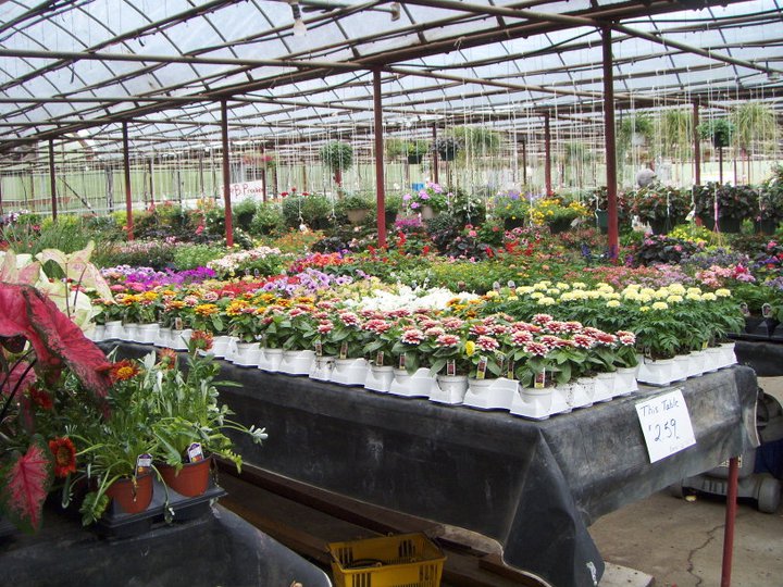 Produce and Greenhouse — B&B Produce