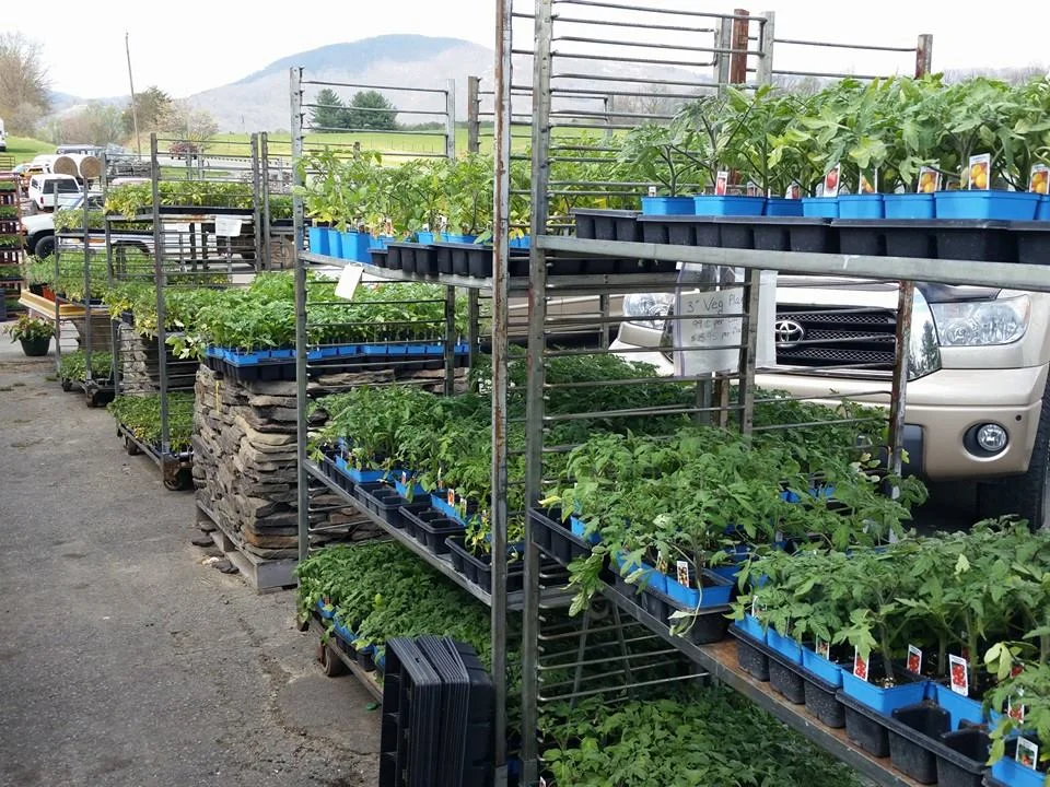 Produce and Greenhouse — B&B Produce