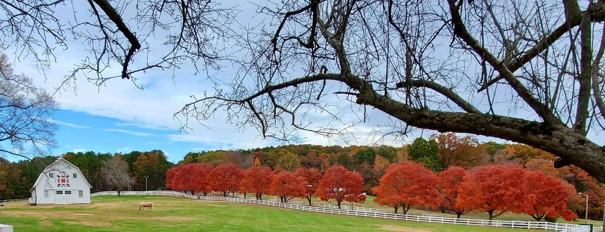 November along Quarterhorse Run. 