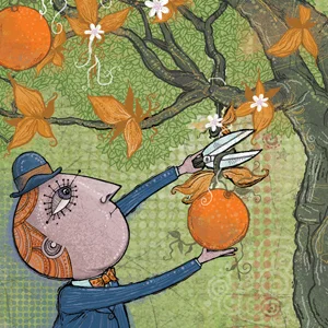 wunsch_harvest_thumbnail.jpg