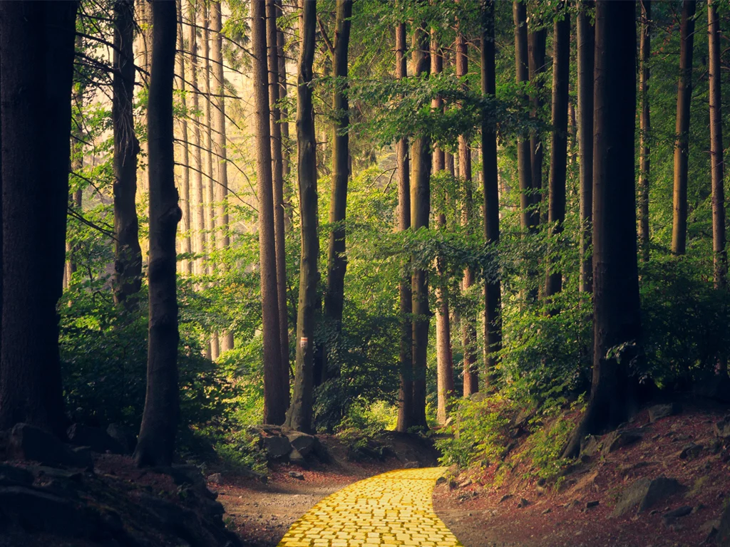 Forestscene2.jpg