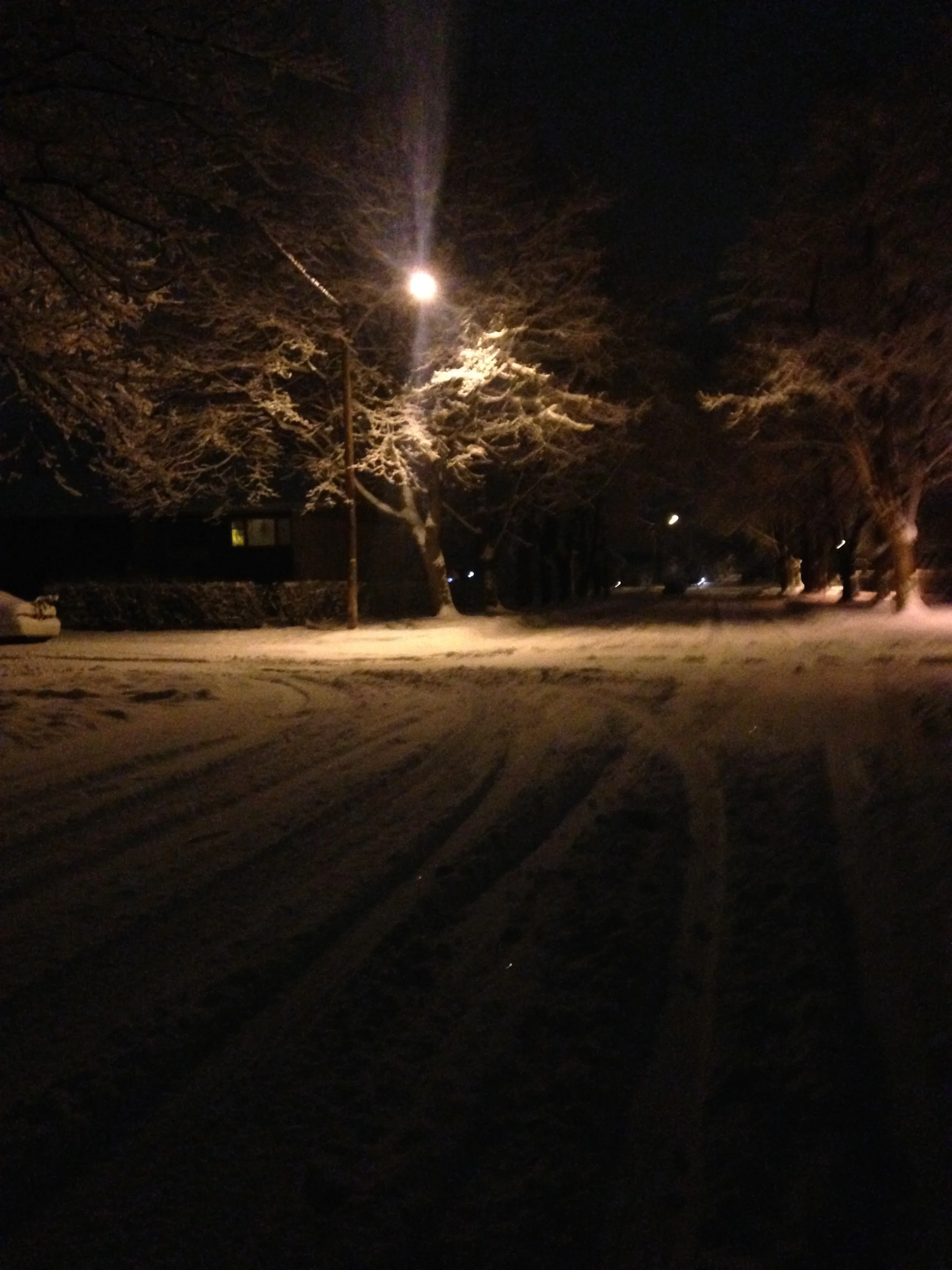 Late Night Wanderings