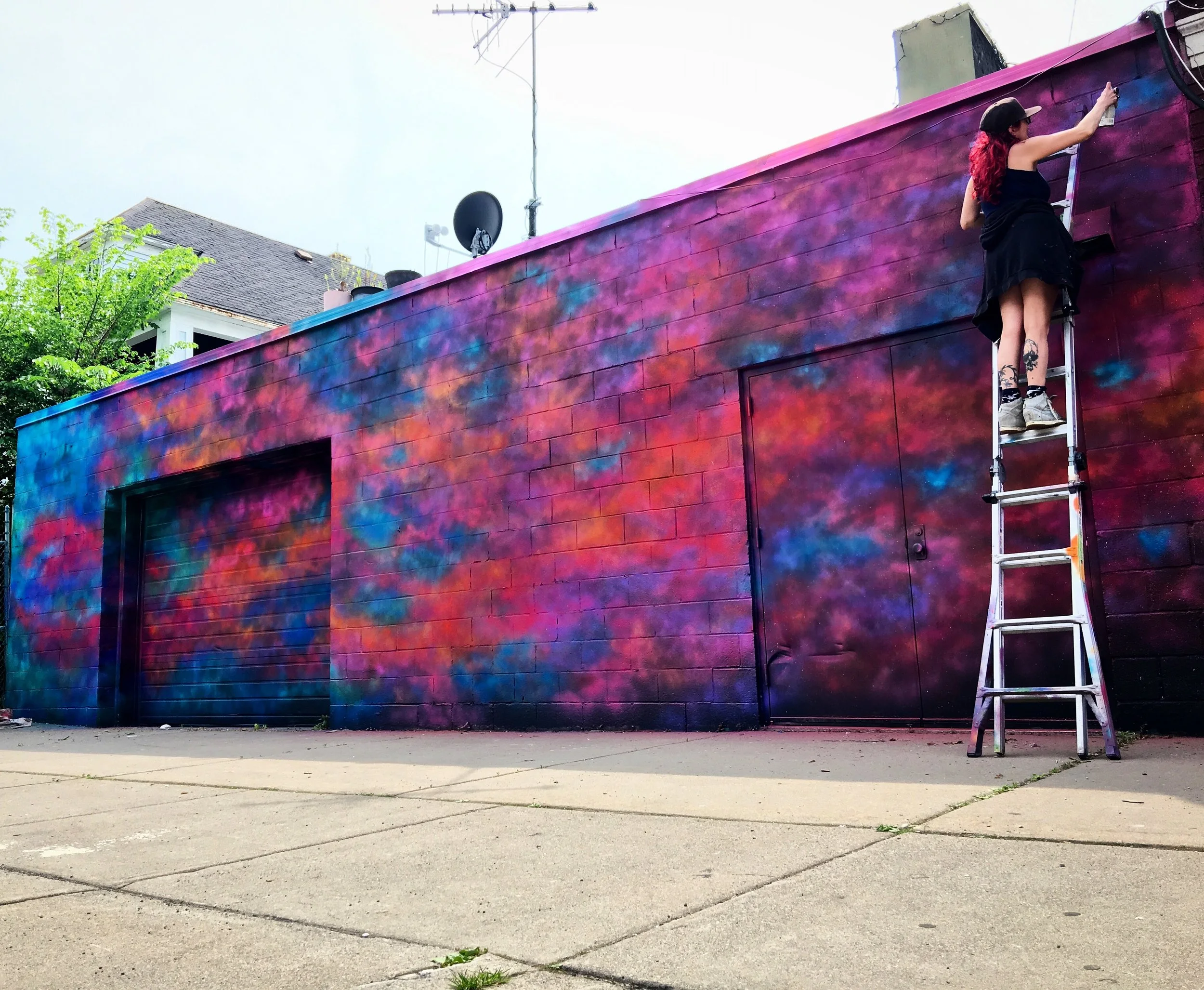 Hertel Alley Mural Fest 2019 Buffalo
