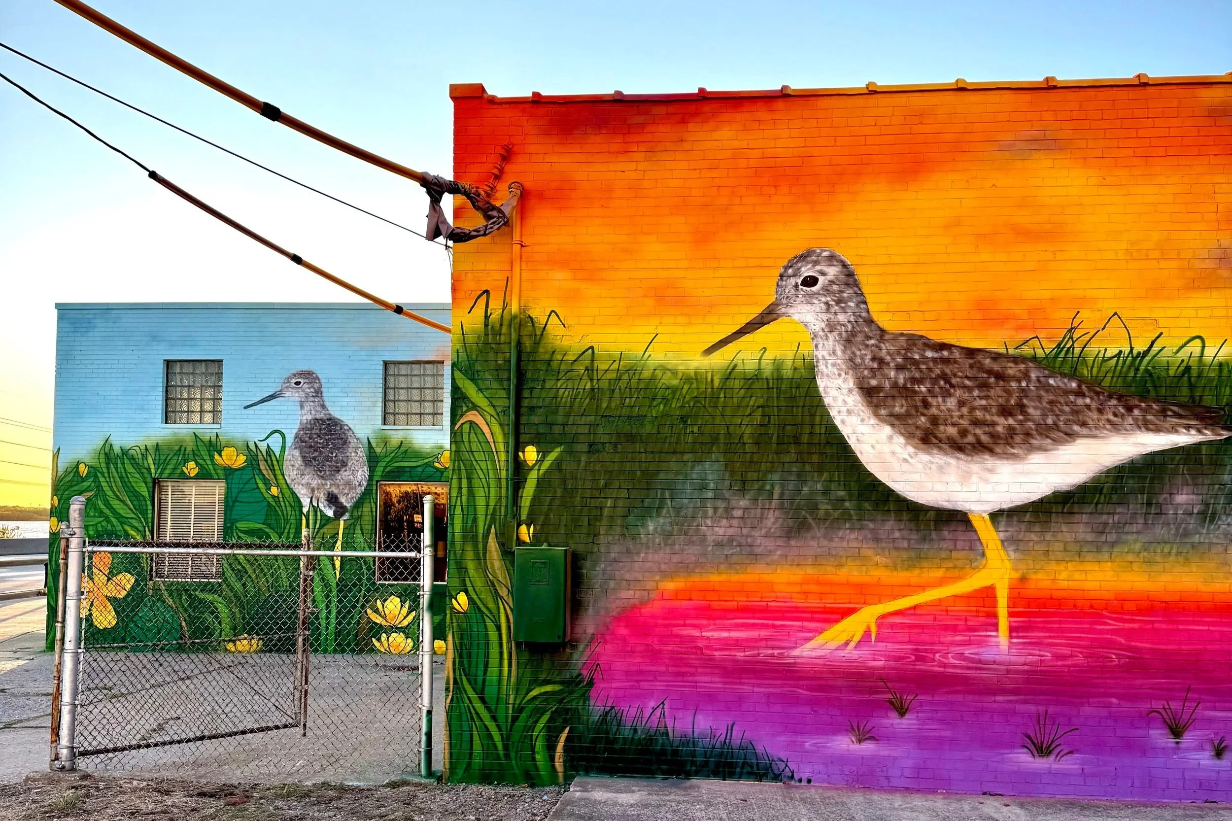 Audubon Society Mural (Alton, IL)