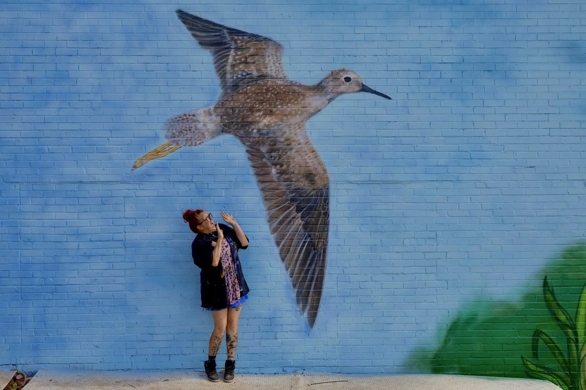 Audobon Society Mural