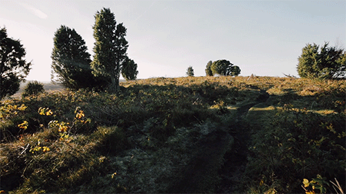 AD2-4-A2.gif