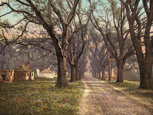 640px-The_Hermitage_plantation,_Savannah,_Georgia,_1900.jpg