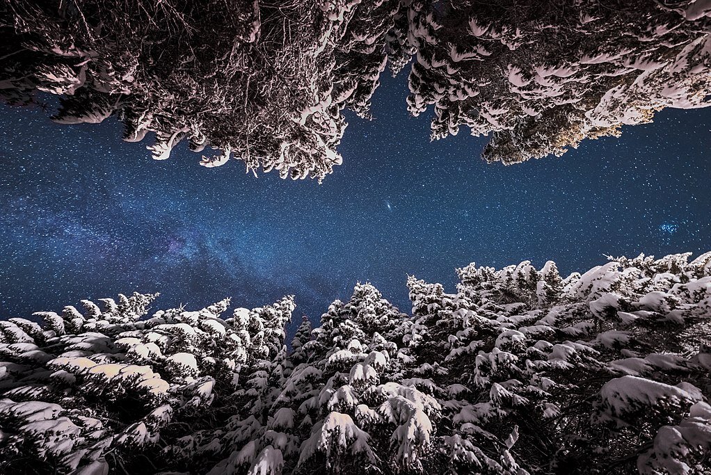 1024px-Winter_night_at_Pokljuka_forest_in_Slovenia (1).jpg