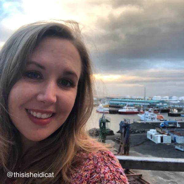 reykjavik marina.jpg
