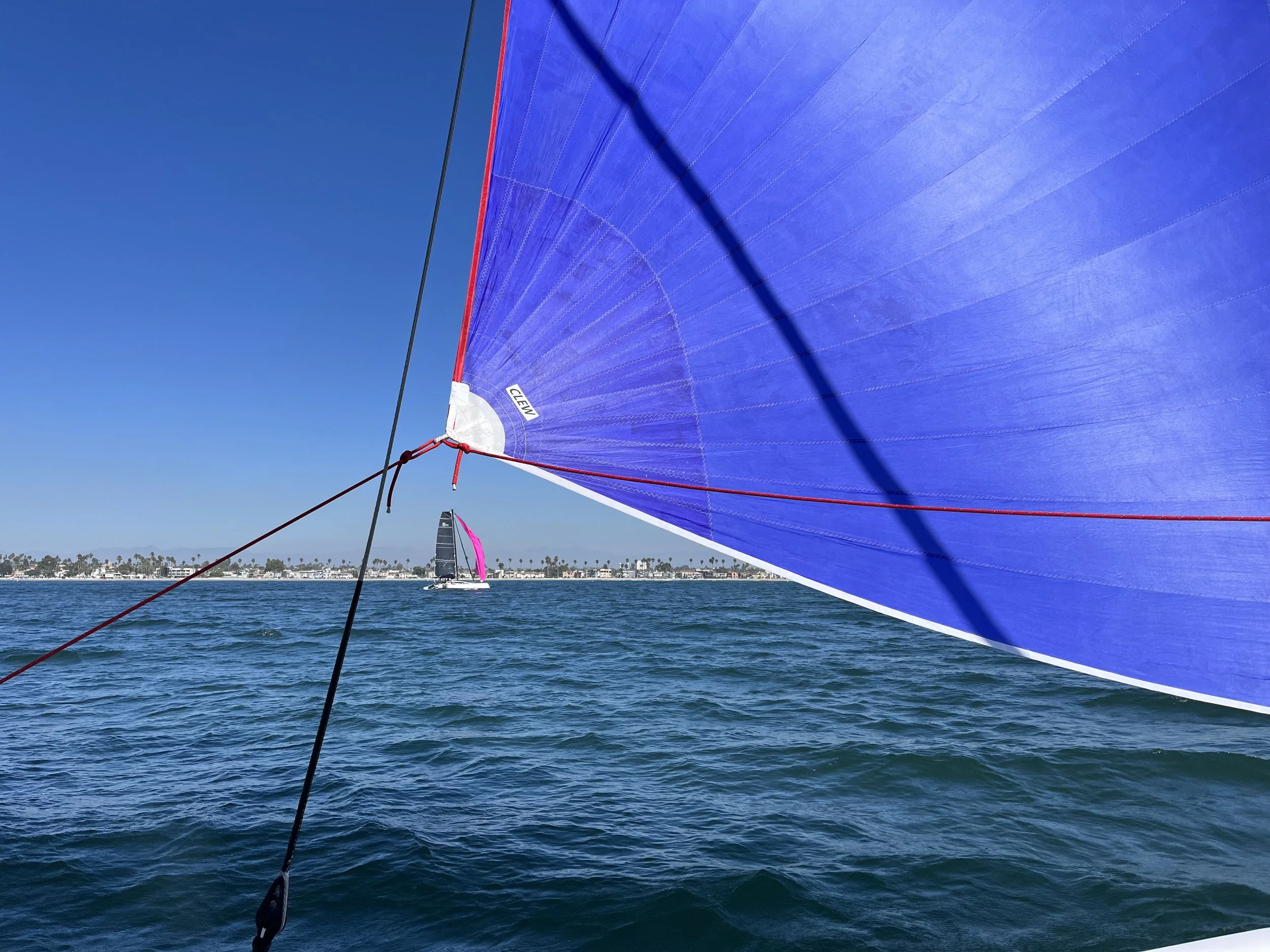 blue spin beauty.jpeg