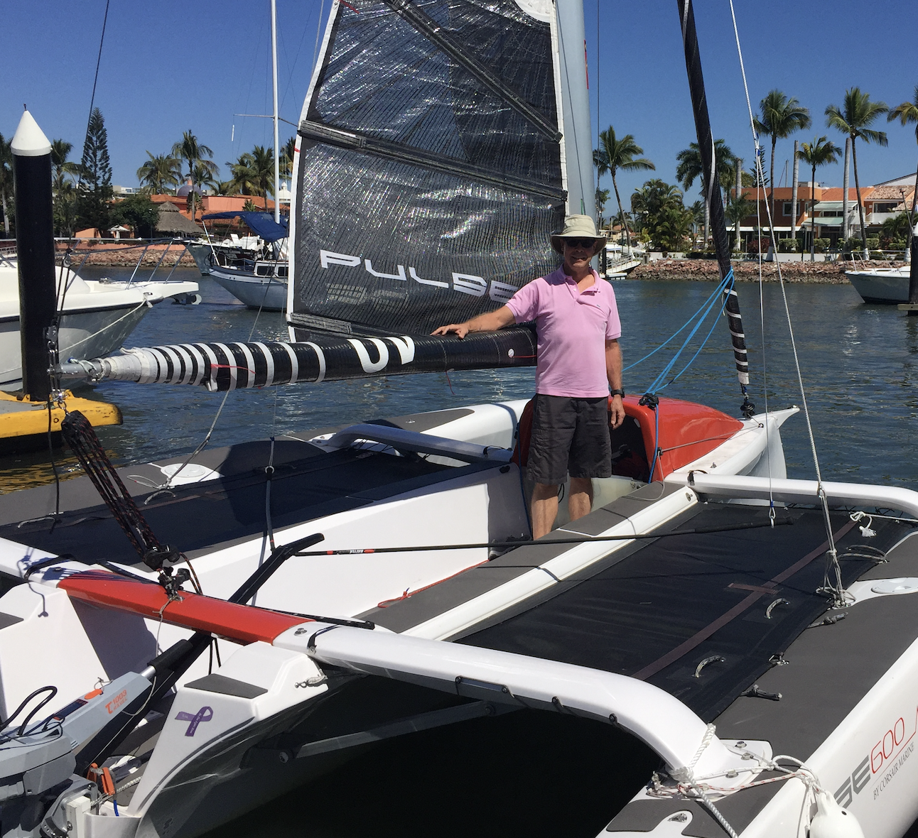 PV Torqeedo on Pulse 600 2017.png