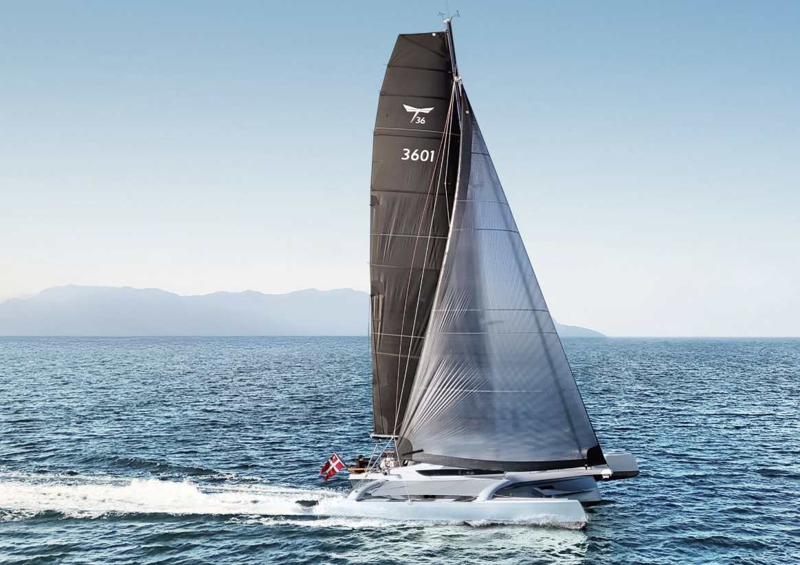 Dragonfly 36