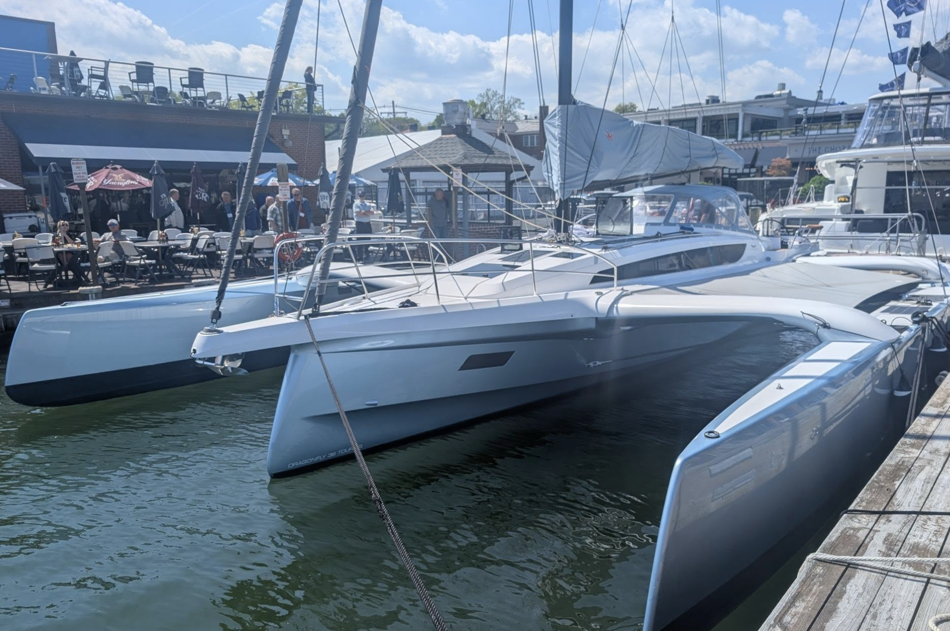 Dragonfly 36