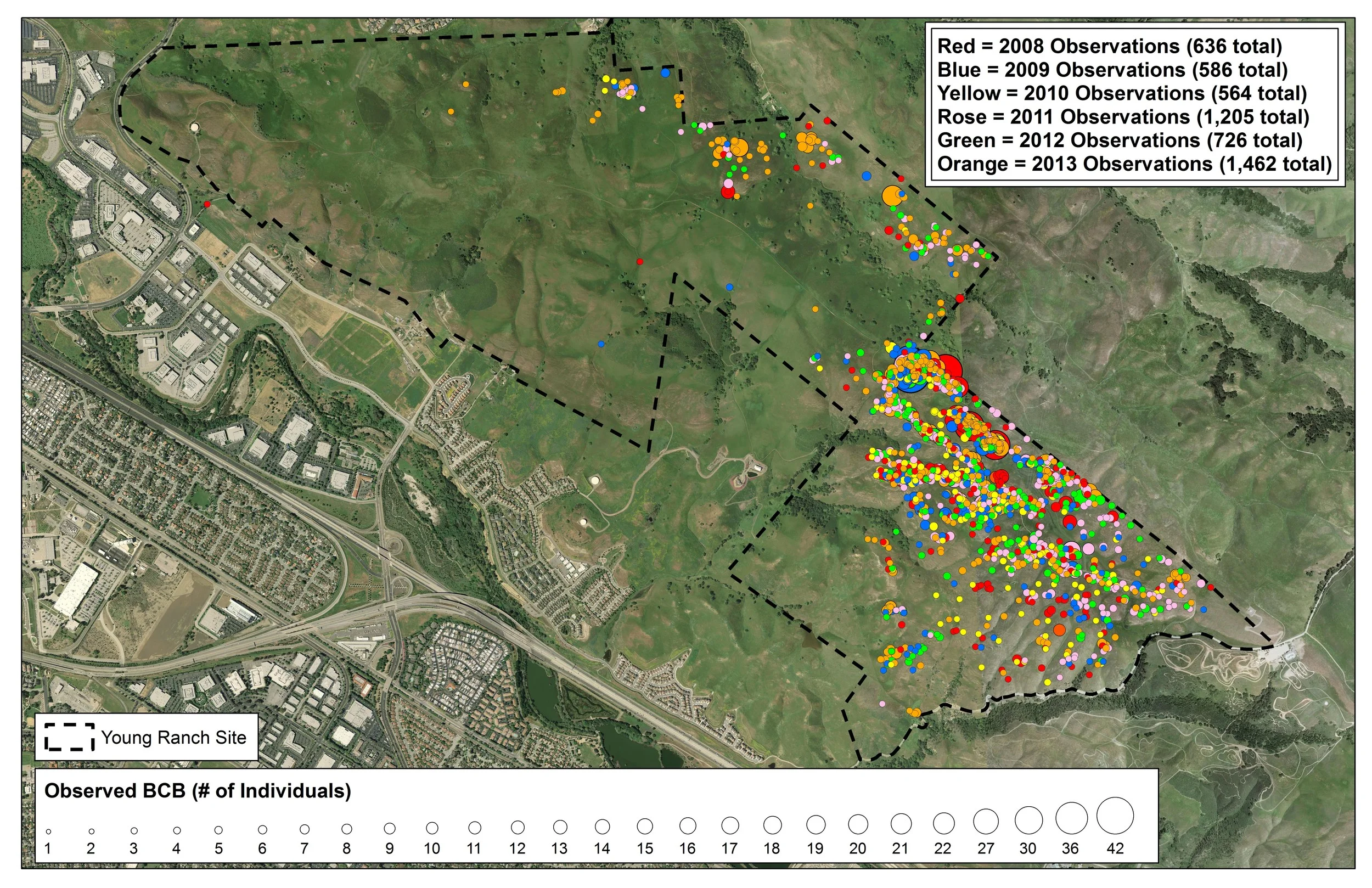 Figure 3. Bay checkerspot butterfly occurrences on Young Ranch