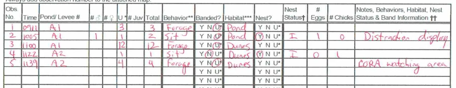 Figure 1. Example of Shiny Sandpiper breeding survey paper datasheet