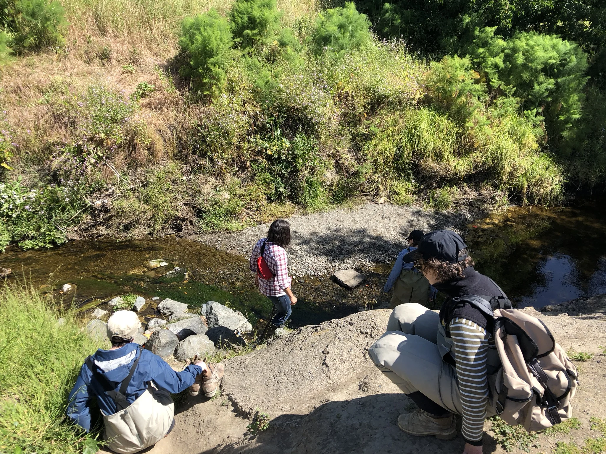 Figure 1. SFEI employees climbing into Wildcat Creek to perform a visual assessment and trash collection, May 10, 2018