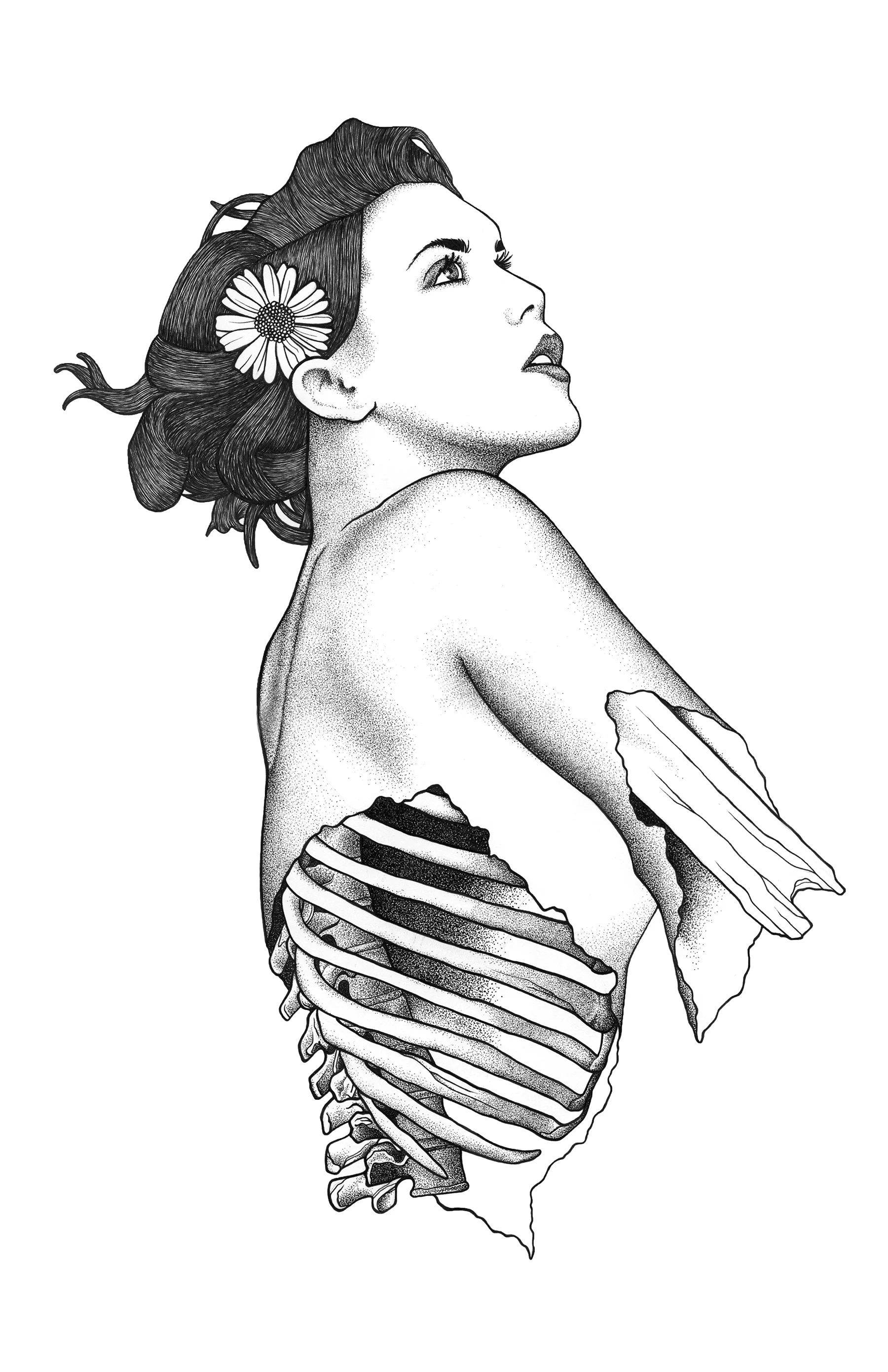 DaisyGirlWeb.jpg