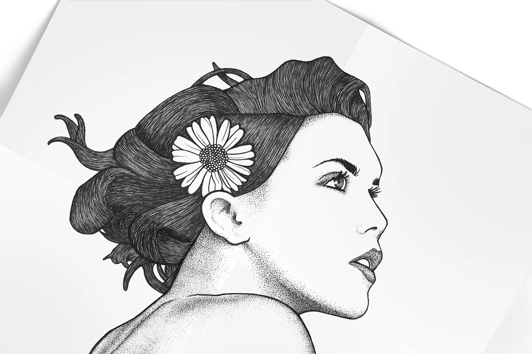 Daisy1.jpg
