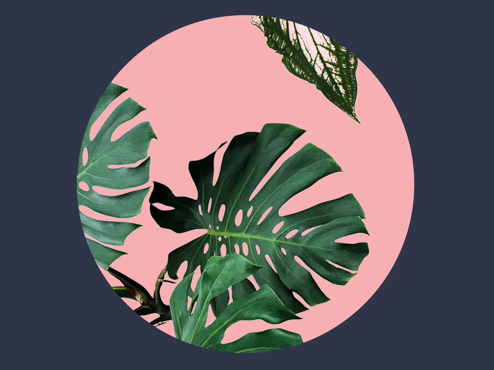 COR_Revolve_Homepage.jpg