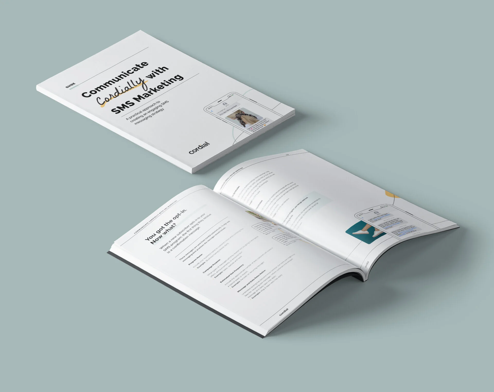 COR_SMS_eBook_Mockup.jpg
