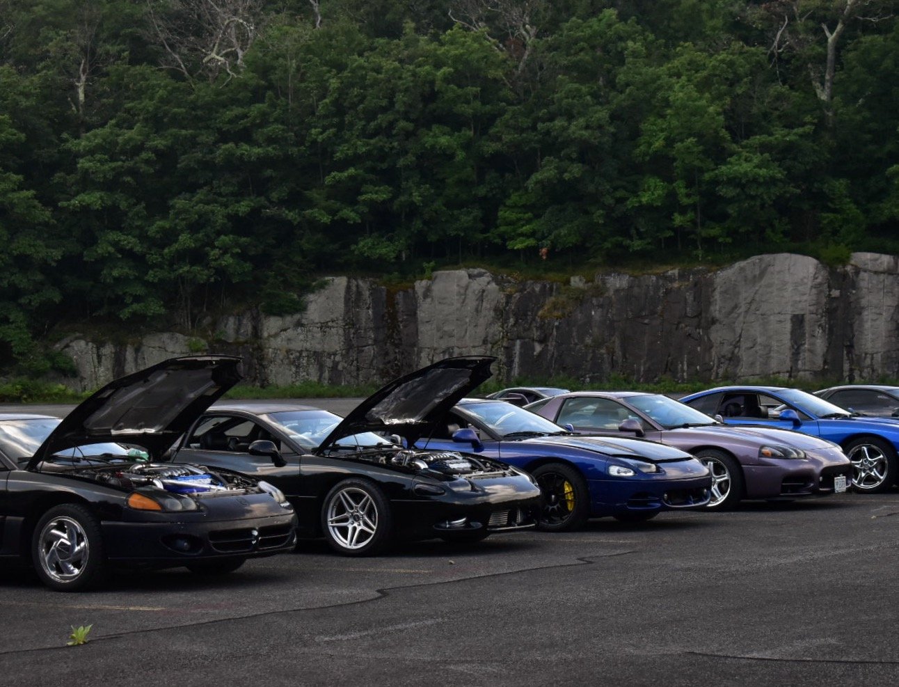 DSC_0376 Copy.JPG