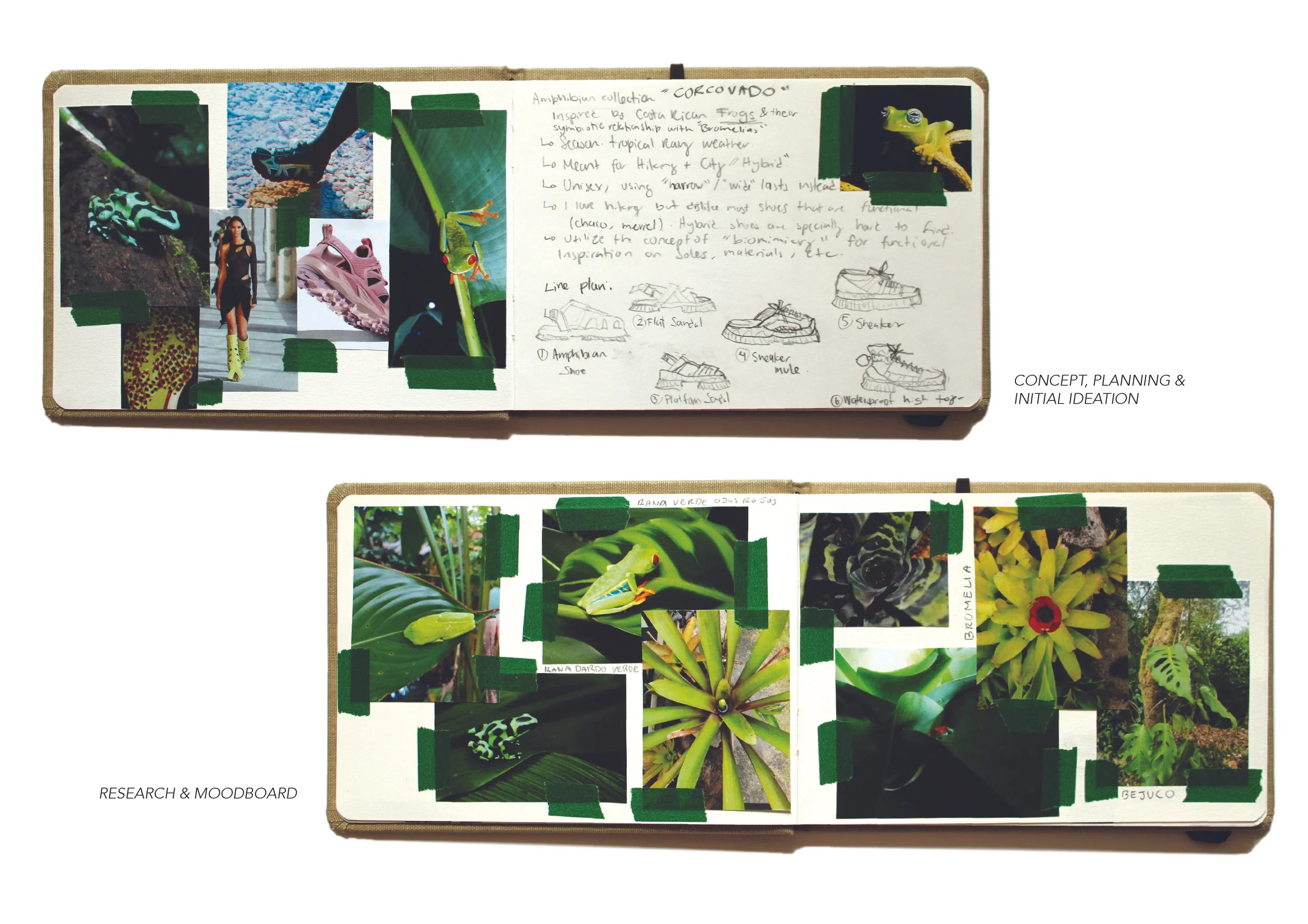 CORCOVADO website doubles.jpg