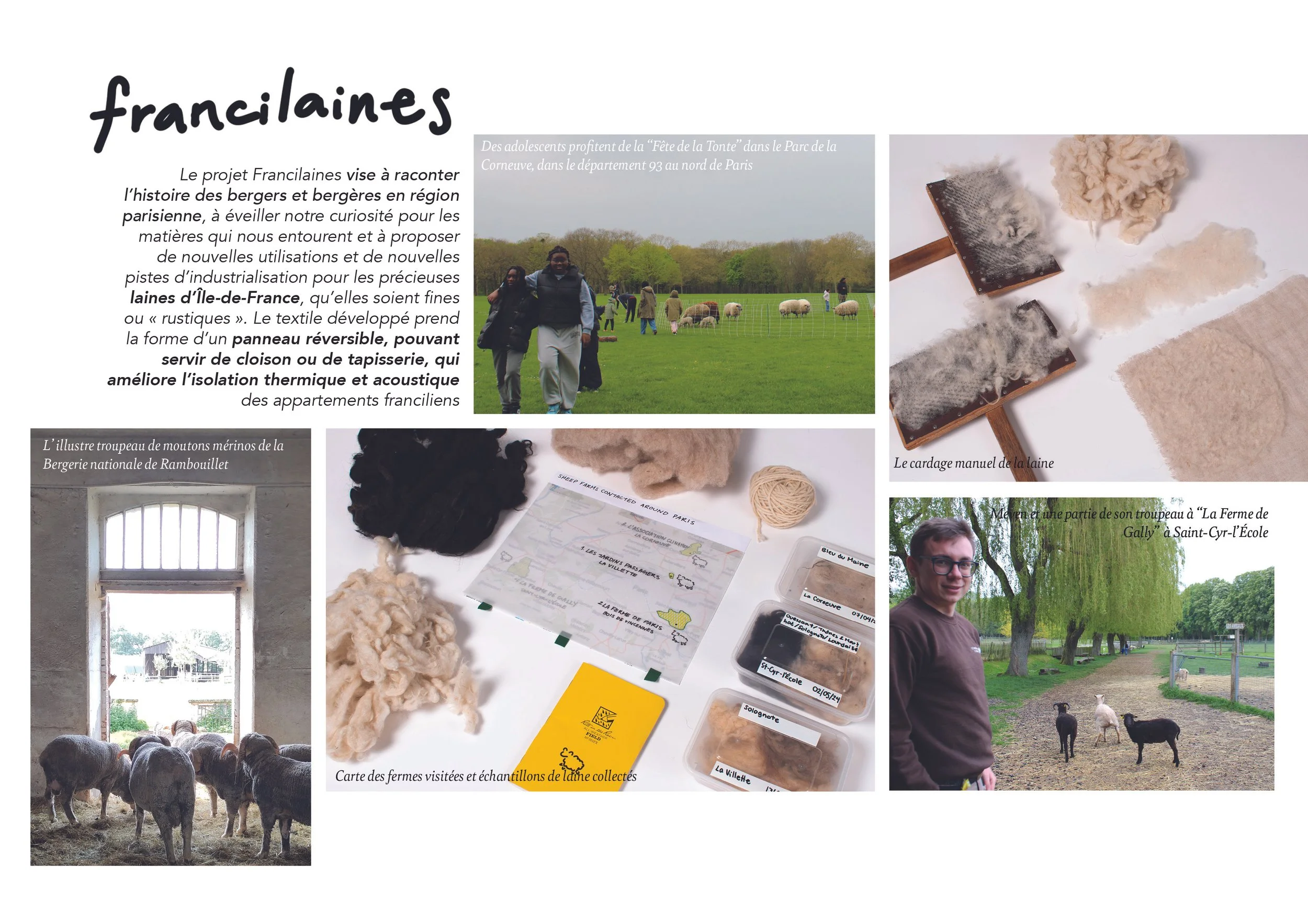 FRANCILAINES website.jpg