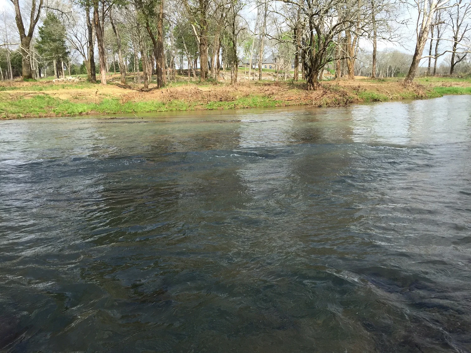 creek_2.jpg