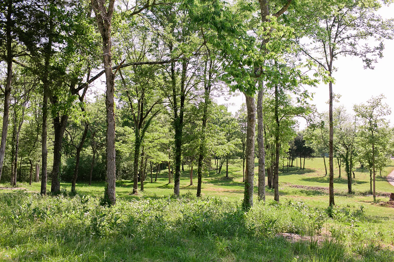 field_13.jpg
