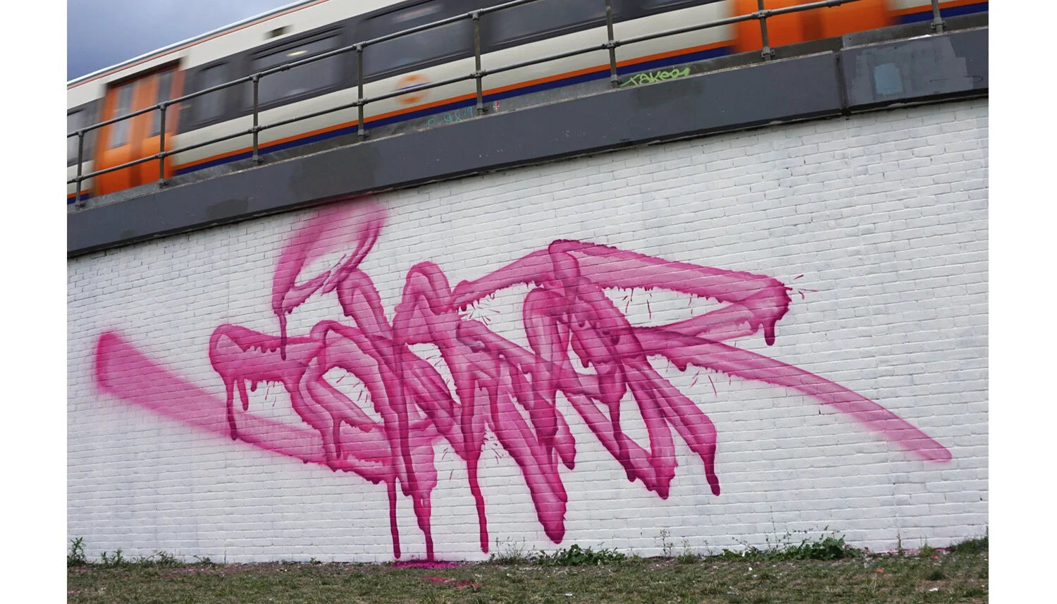 trans pink.jpg