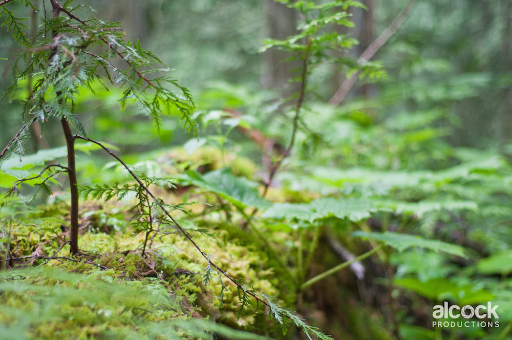 _DSC7488.jpg