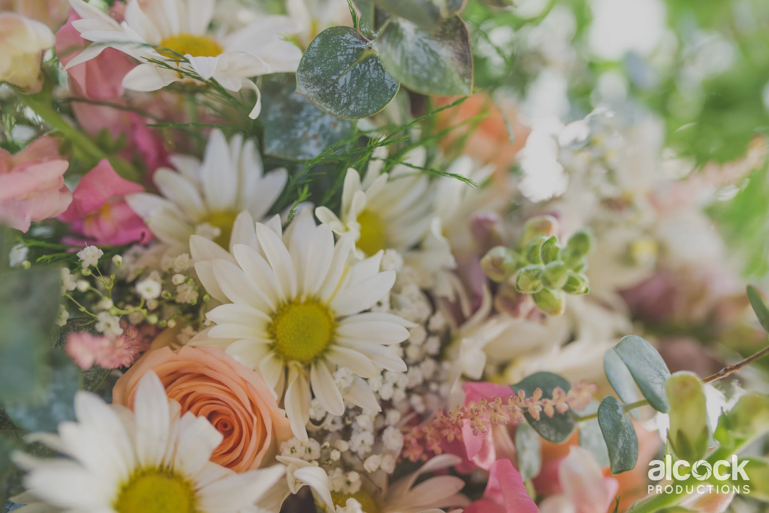 AlcockProductions_MKWedding_logo_106.jpg