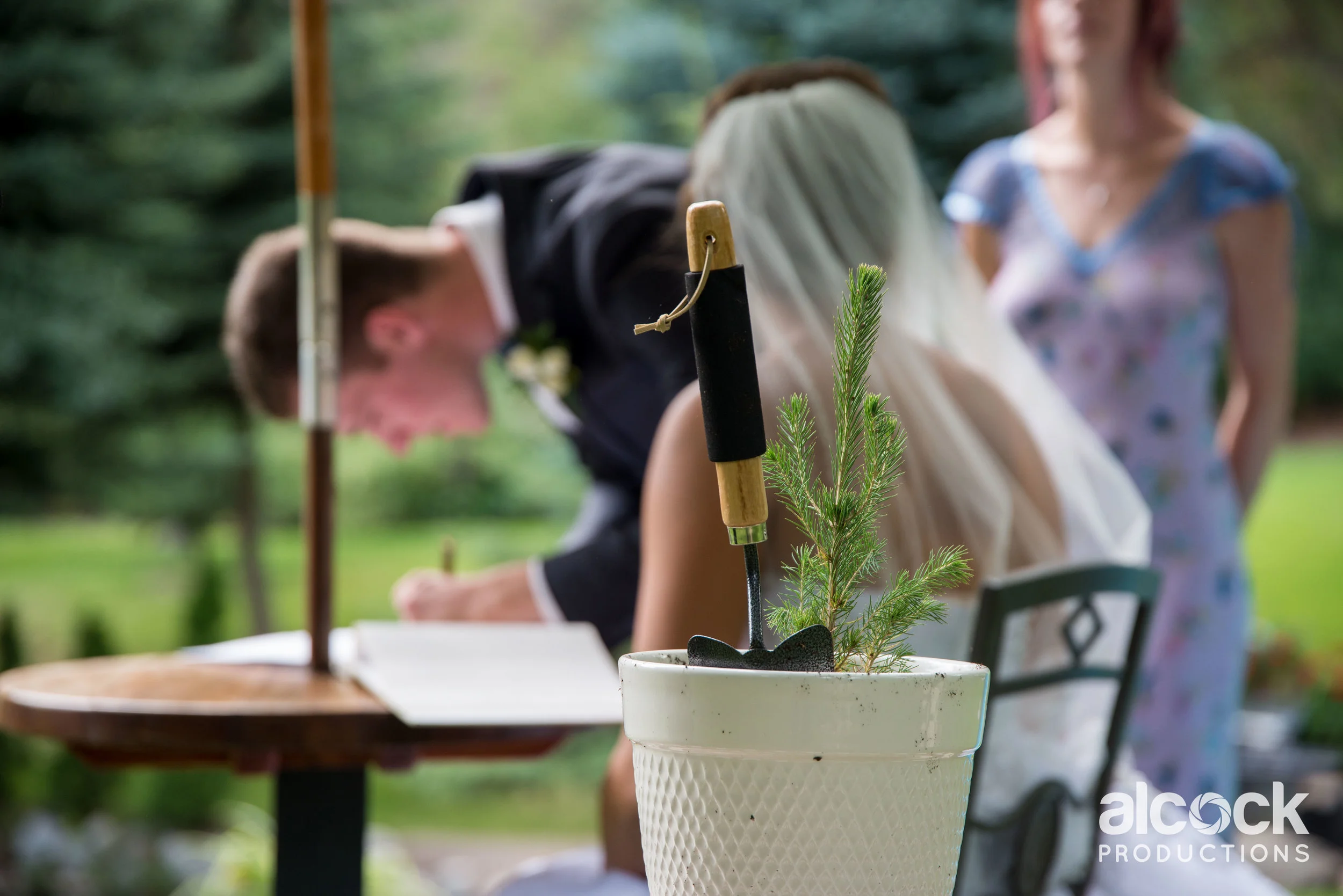 AlcockProductions_KieraElliotWedding_485.jpg