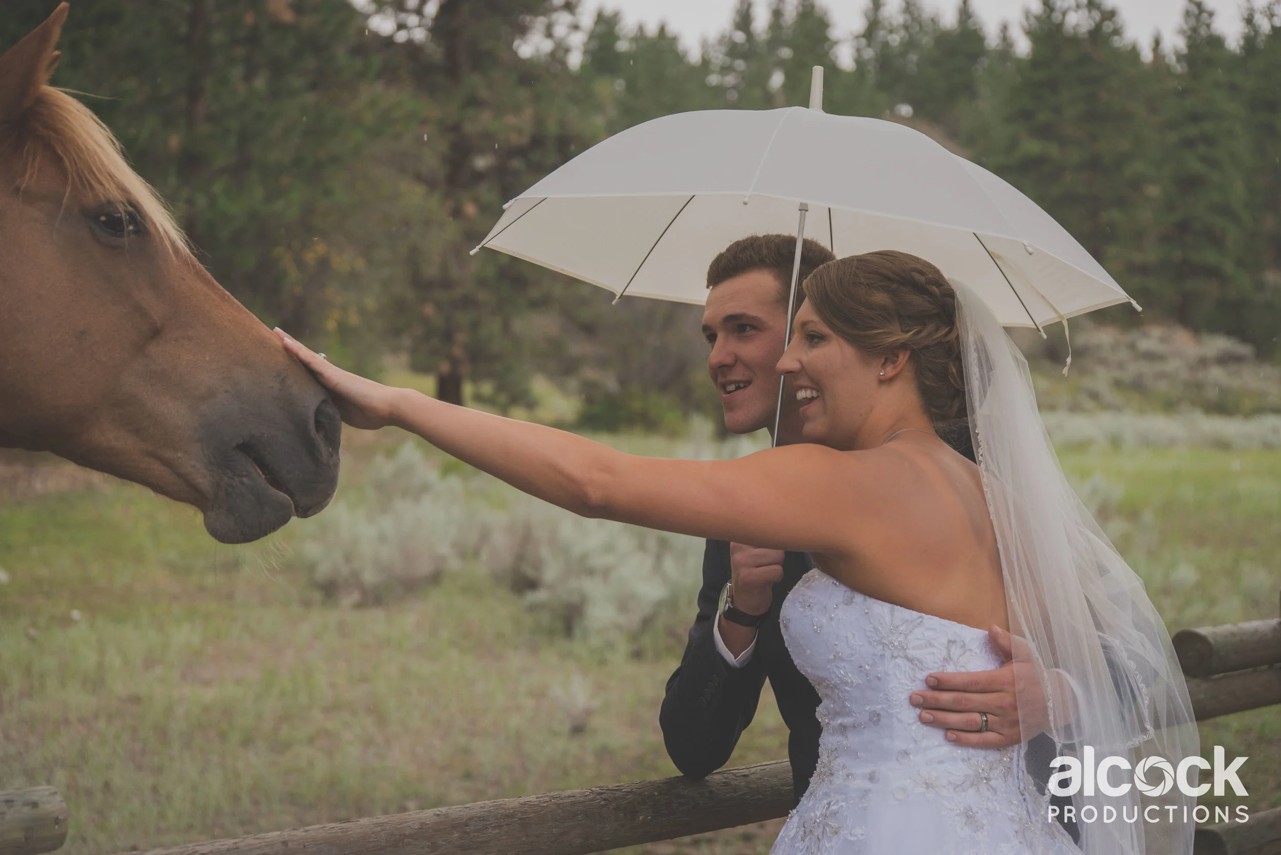 AlcockProductions_KieraElliotWedding_964.jpg