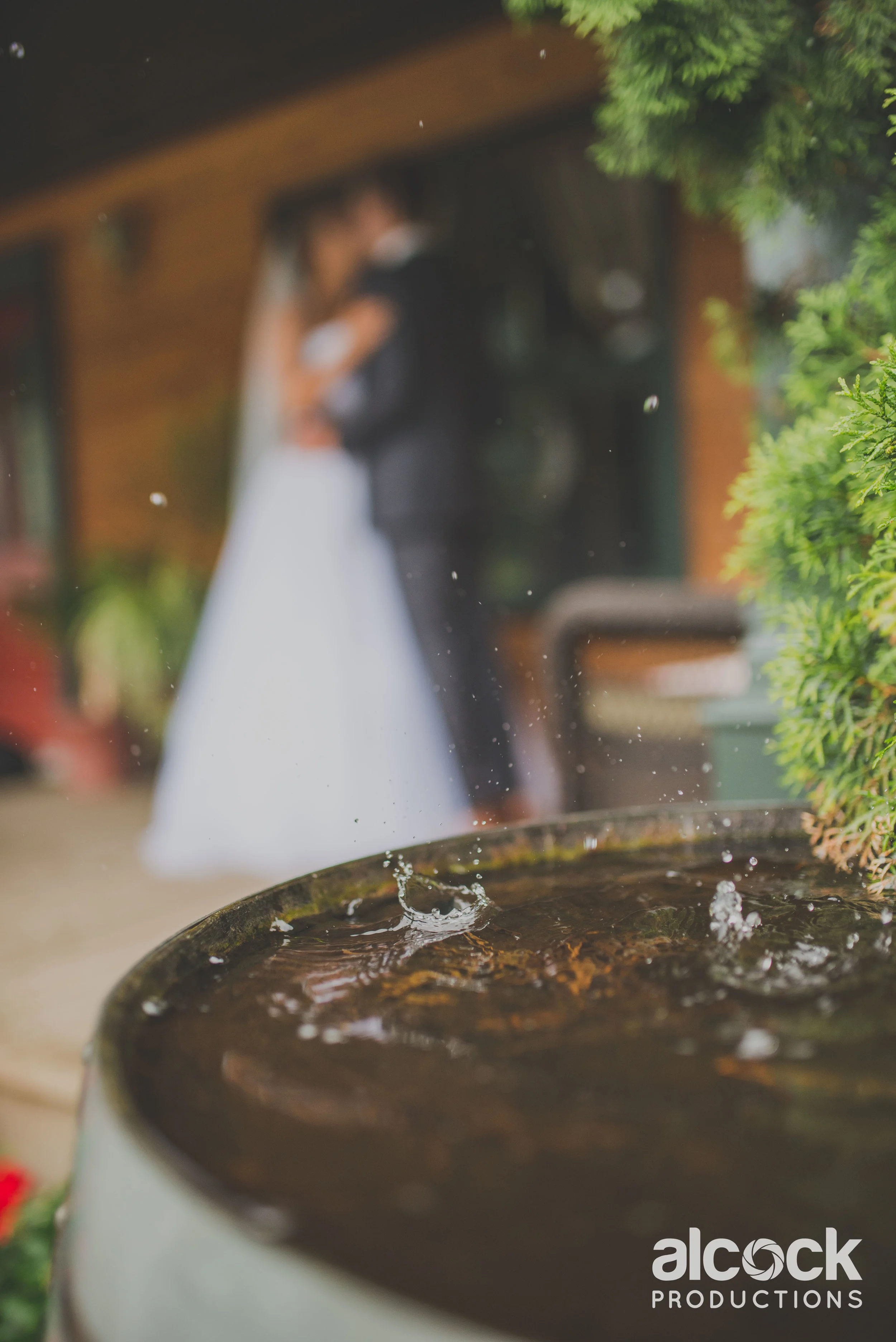 AlcockProductions_KieraElliotWedding_983.jpg