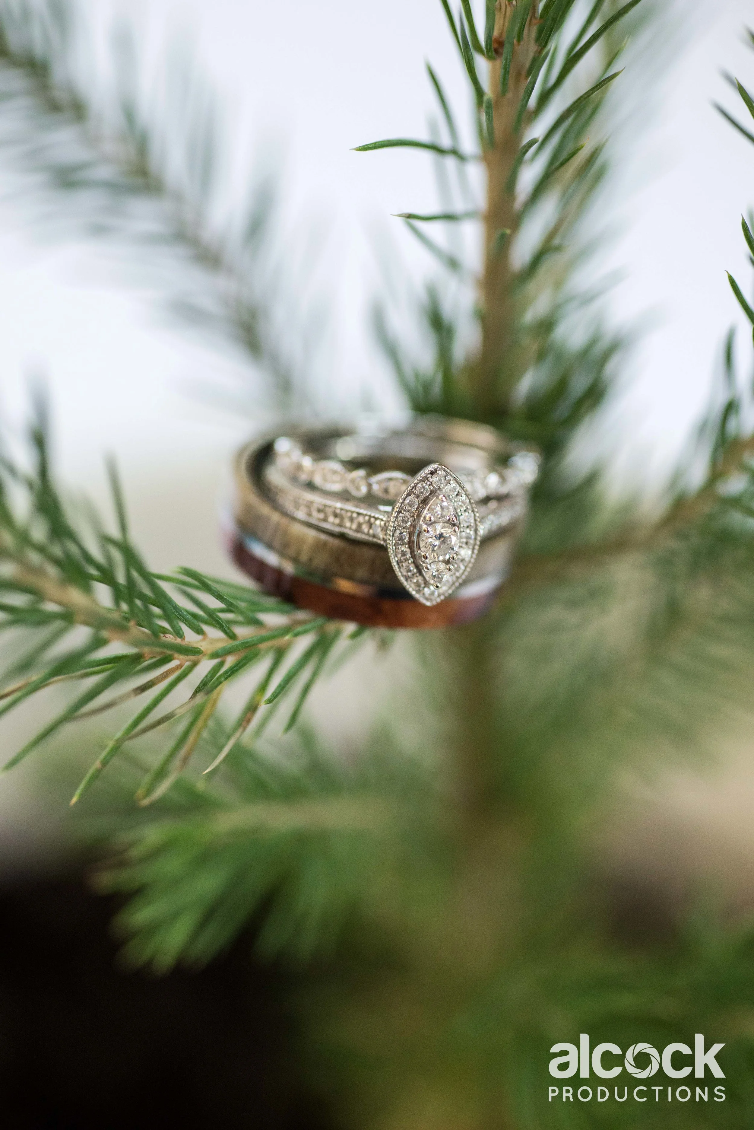 AlcockProductions_KieraElliotWedding_1171.jpg