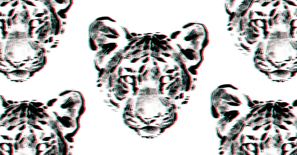 coolkitty.jpg