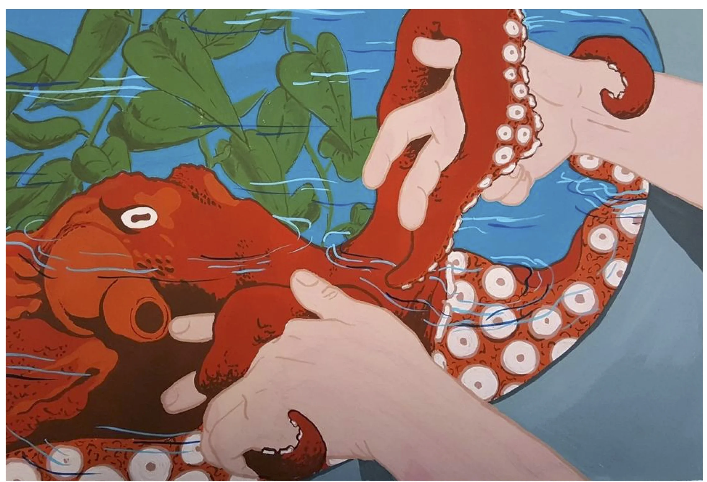 Octopus by Rae Whiteley