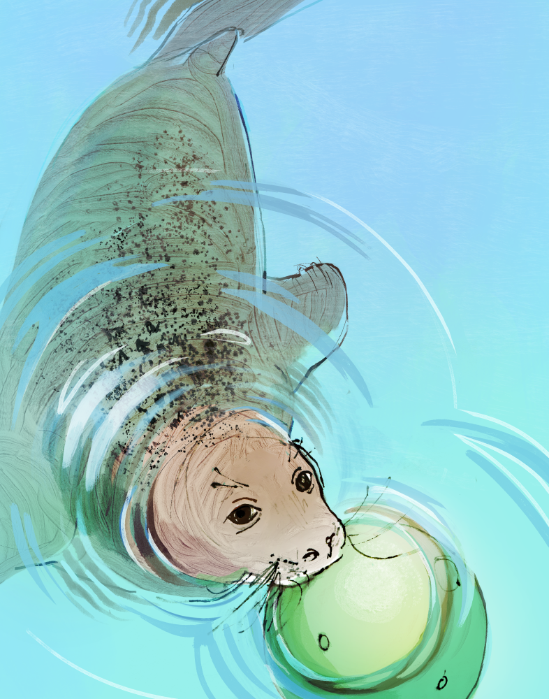 Aquarium03.png