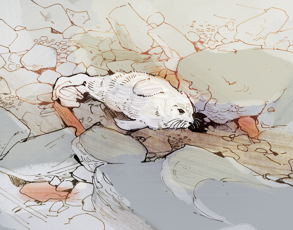 Aquarium06.png